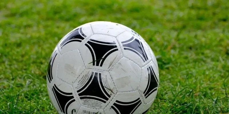 Hệ sinh thái cá cược đa dạng, hấp dẫn